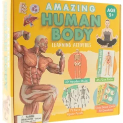 Amazing Human Body