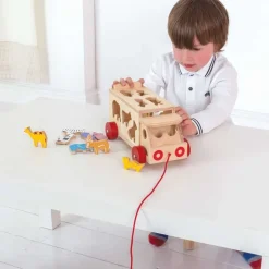 Animal Shape Lorry