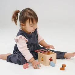 Bambino Shape Sorting Cube