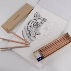 Box 12 Named Sketching Pencils