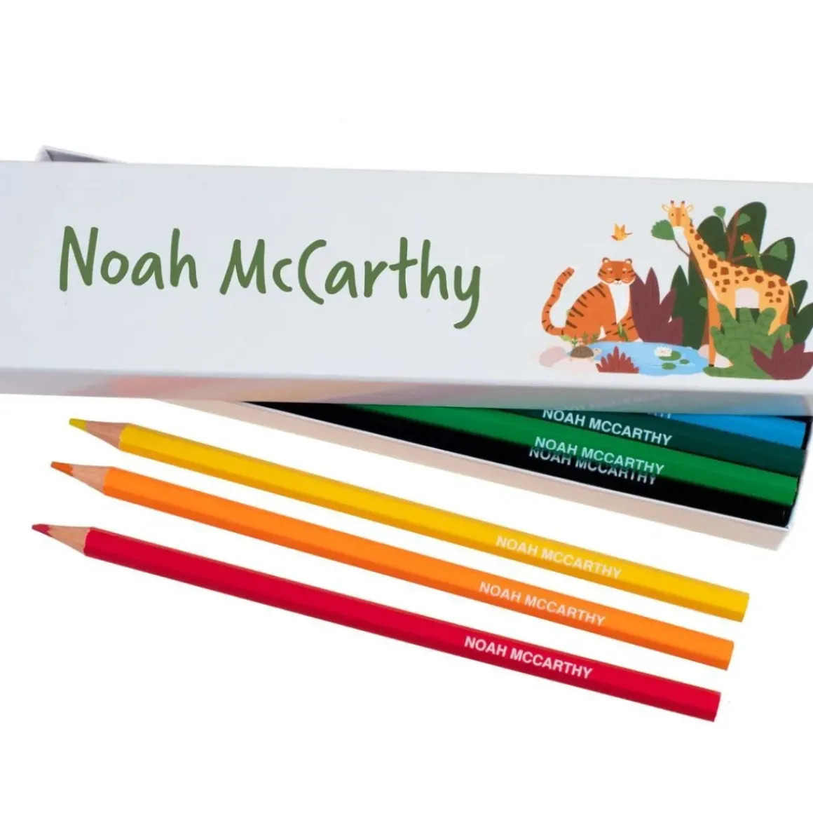 Box of 12 Named Colouring Pencils - Jungle Safari