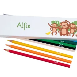 Box of 12 Named Colouring Pencils - Cheeky Monkey