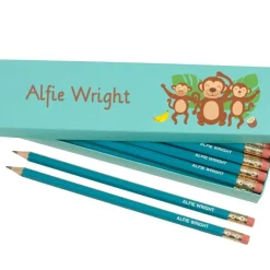Box of 12 Named HB Pencils - Cheeky Monkey