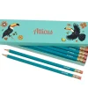 Box of 12 Named HB Pencils - Toucans
