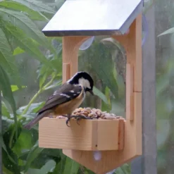 Build Your Own Bird Feeder