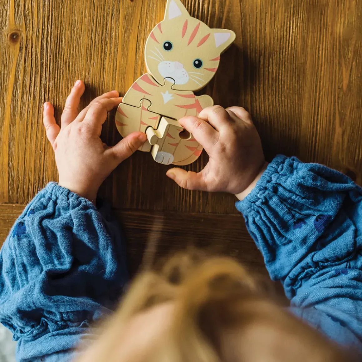 Cat Wooden Puzzle