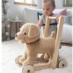 Dexter Dog Push Along
