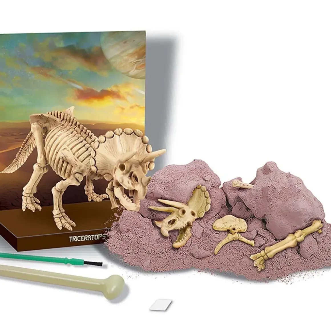 Dig a Dinosaur Skeleton - Triceratops