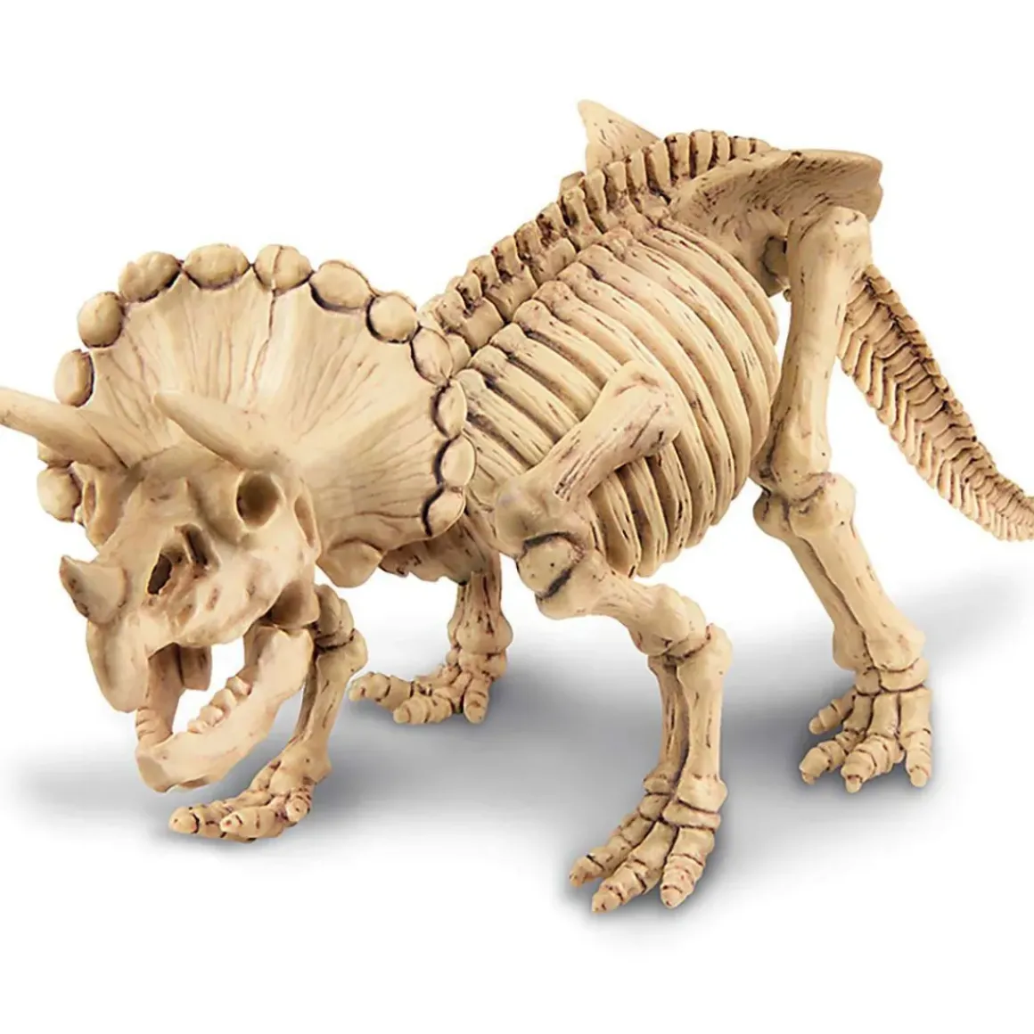 Dig a Dinosaur Skeleton - Triceratops