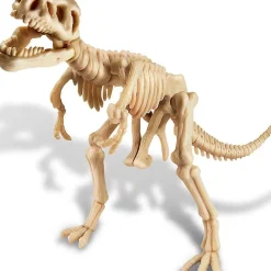 Dig a Dinosaur Skeleton - T-Rex