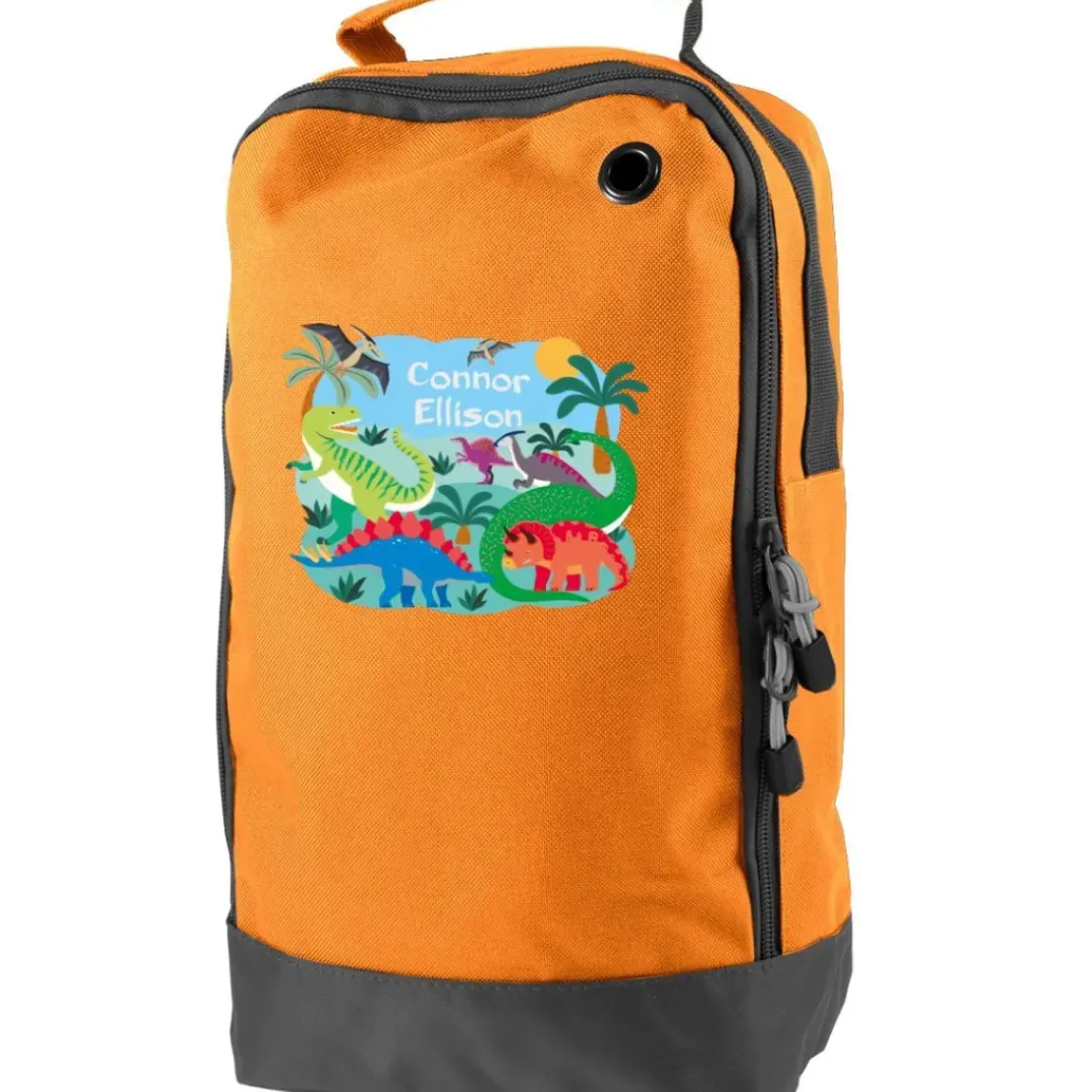 Dinosaurs Personalised Shoe & Boot Bag