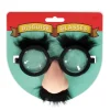 Disguise Glasses