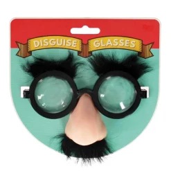 Disguise Glasses