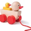 Duck & Duckling Pull-Along