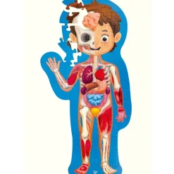 Human Body Puzzle