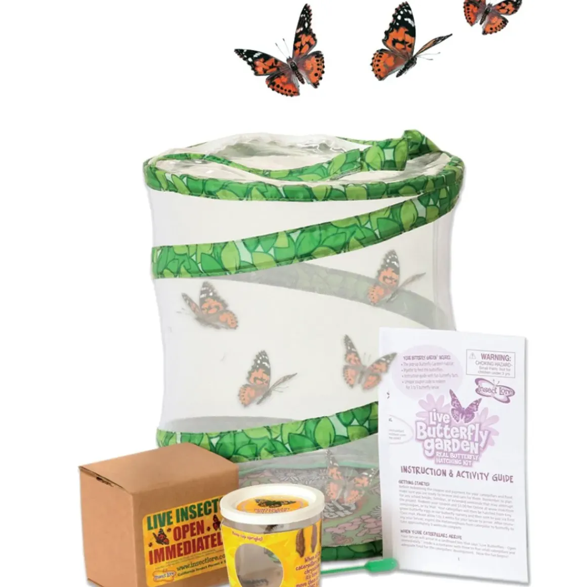 Live Butterfly Garden Kit