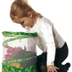 Live Butterfly Garden Kit