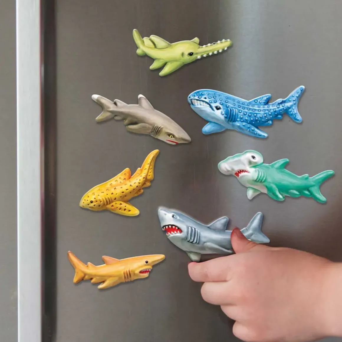 Mould & Paint Sharks