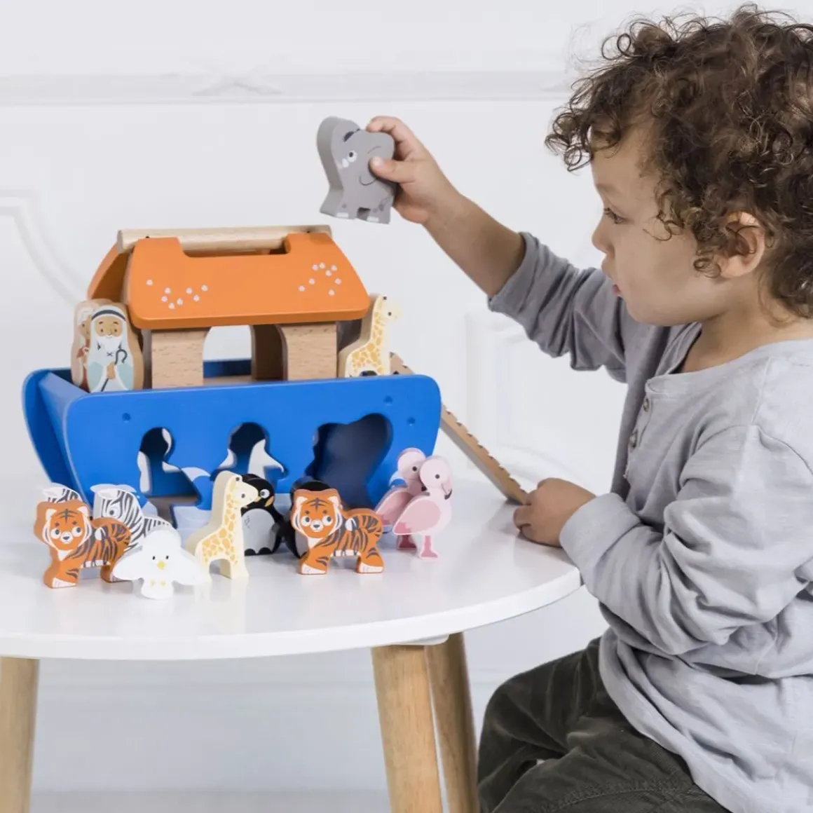 Noah's Ark Shape Sorter