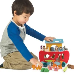 Noah's Shape Sorter Ark