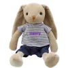 Personalised Mr Rabbit