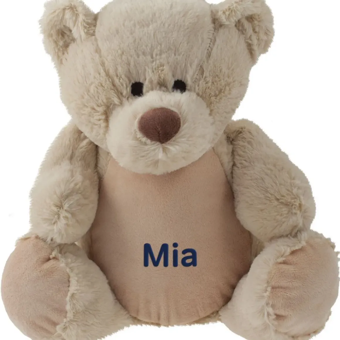 Personalised Teddy Soft Toy