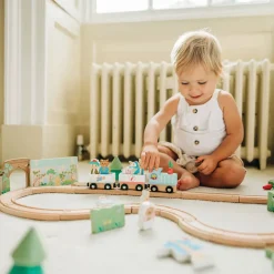 Peter Rabbit Radish Express Train Set