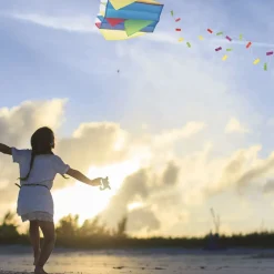 Pocket Kite