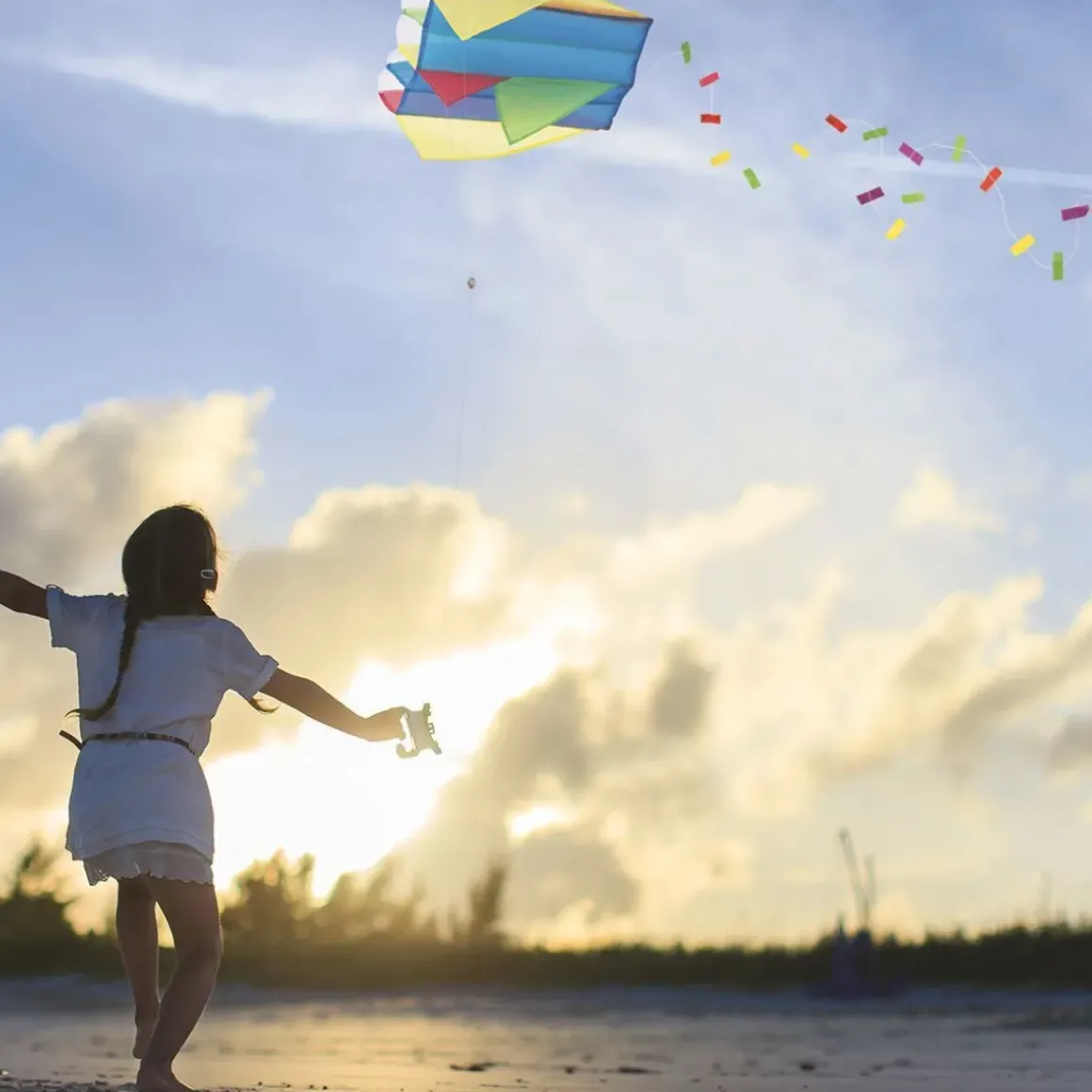 Pocket Kite