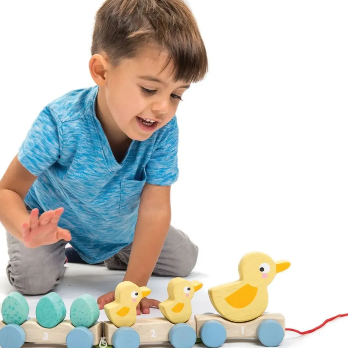 Pull Along Duck Family