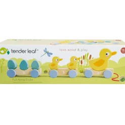 Pull Along Duck Family