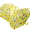 Rainbow Fairy Colour Changing Umbrella