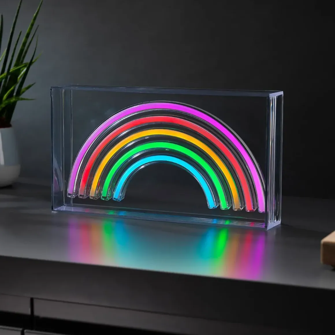 Rainbow Neon Light