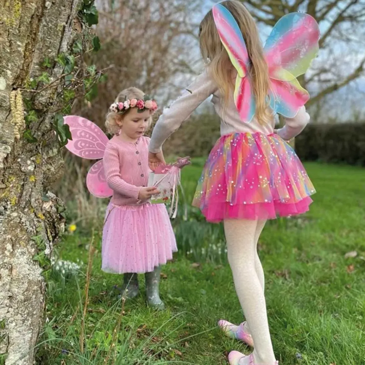 Rainbow Sparkle Flower Fairy Set