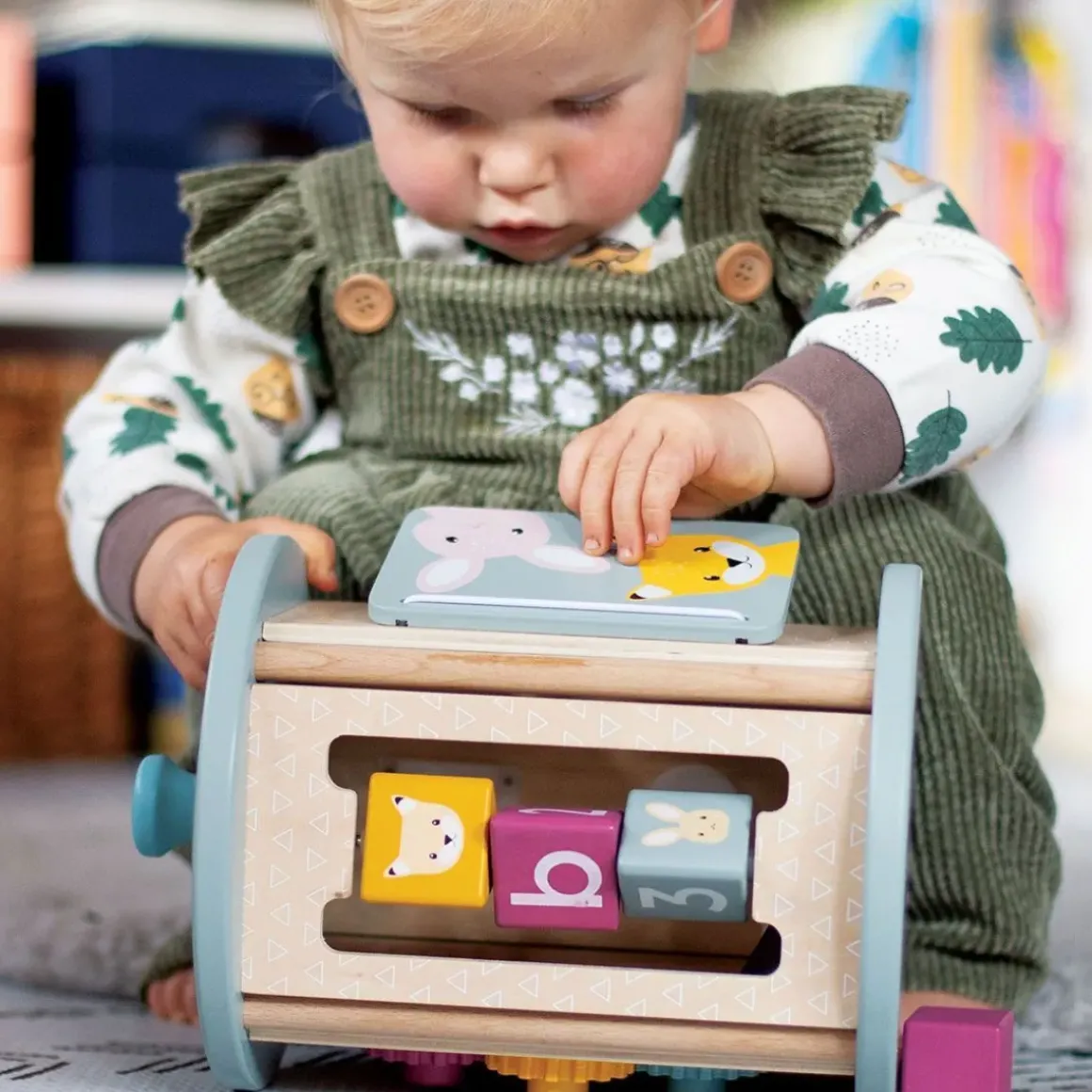 Rolling Activity Sorter