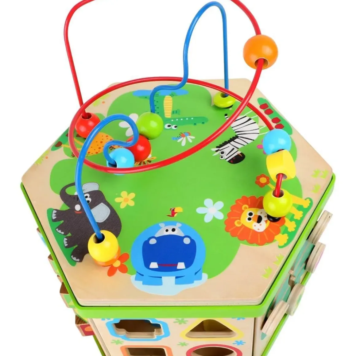 Safari Activity Cube
