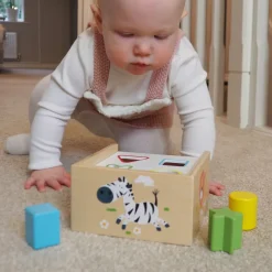 Safari Shape Sorter Box