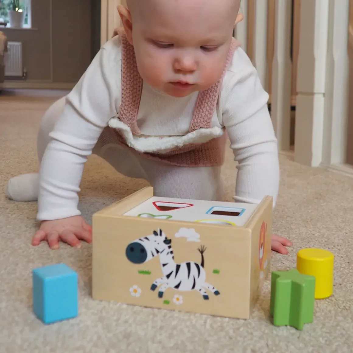 Safari Shape Sorter Box
