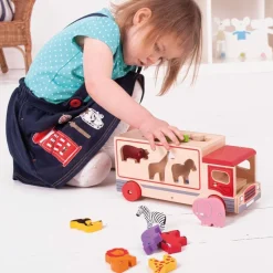 Safari Sorting Lorry