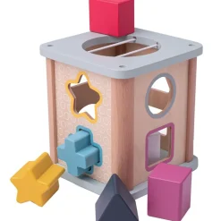 Shape Sorter - FSC