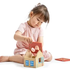 Shape Sorter House