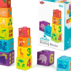 Shape Sorting Building Blocks