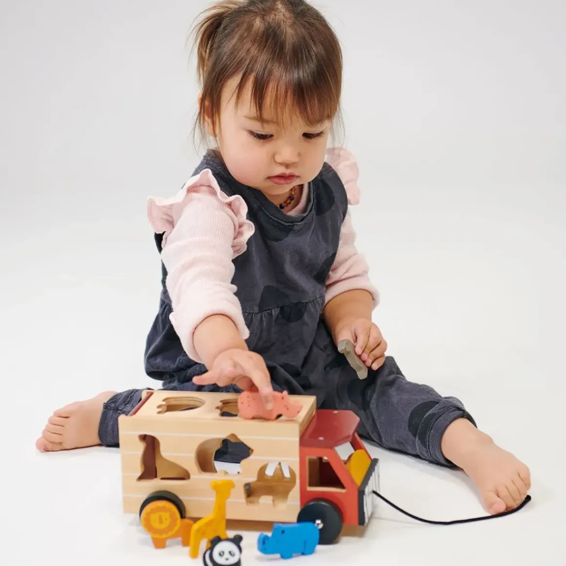 Shape Sorting Safari Truck