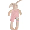 Sylvain Rabbit