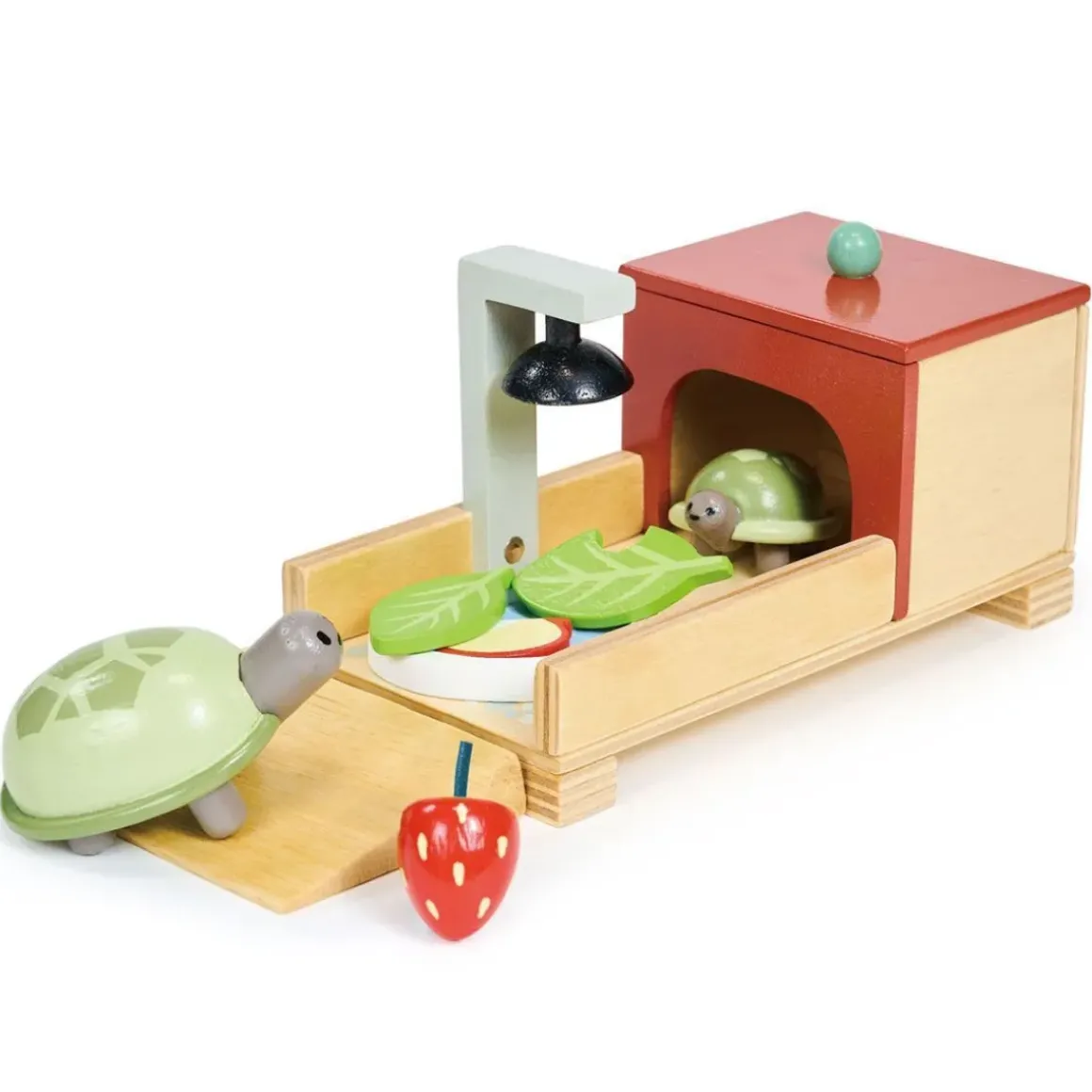 Tortoise Pet Set